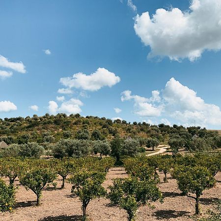 Villa Iuta Farm à Noto Extérieur photo