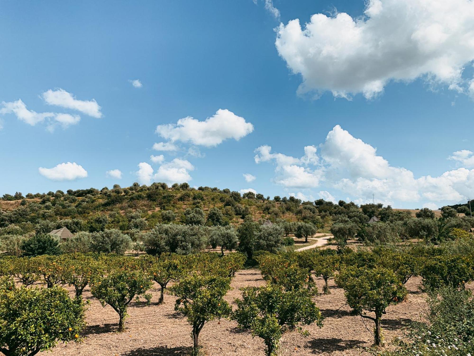 Villa Iuta Farm à Noto Extérieur photo