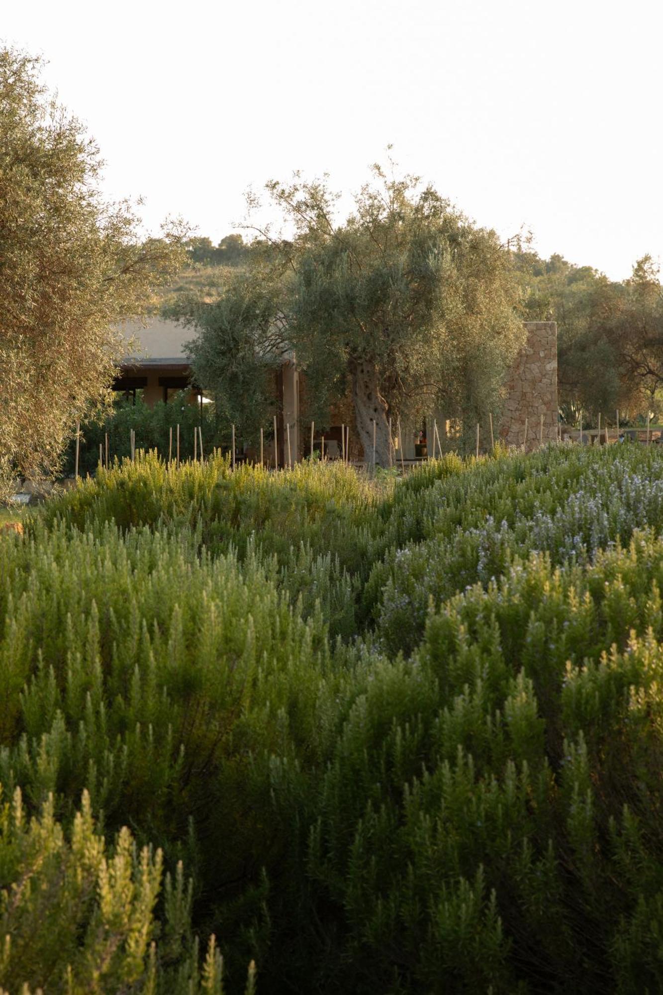 Villa Iuta Farm à Noto Extérieur photo
