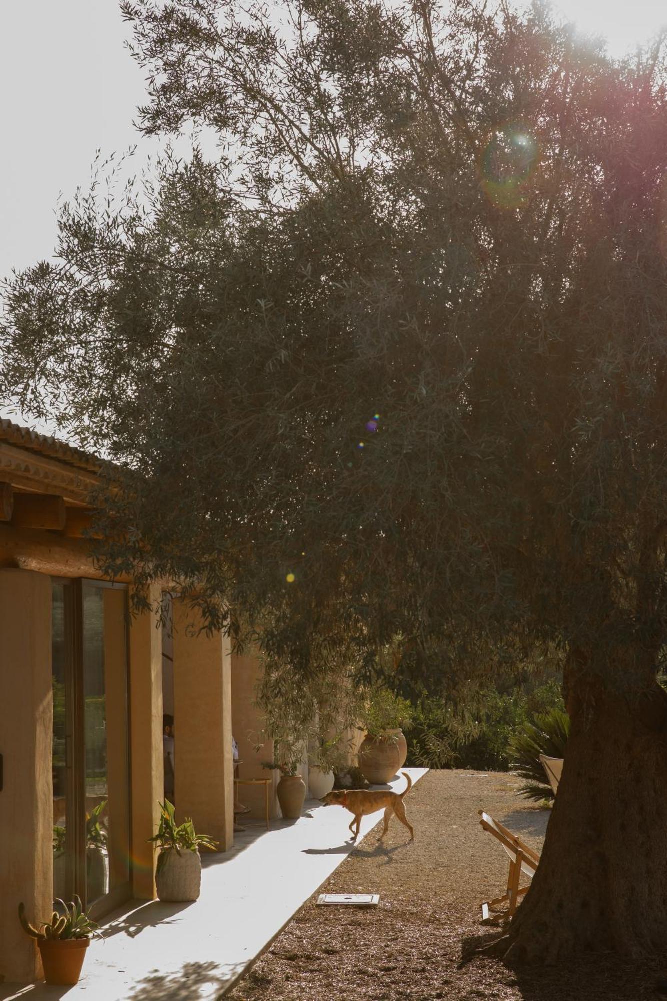 Villa Iuta Farm à Noto Extérieur photo